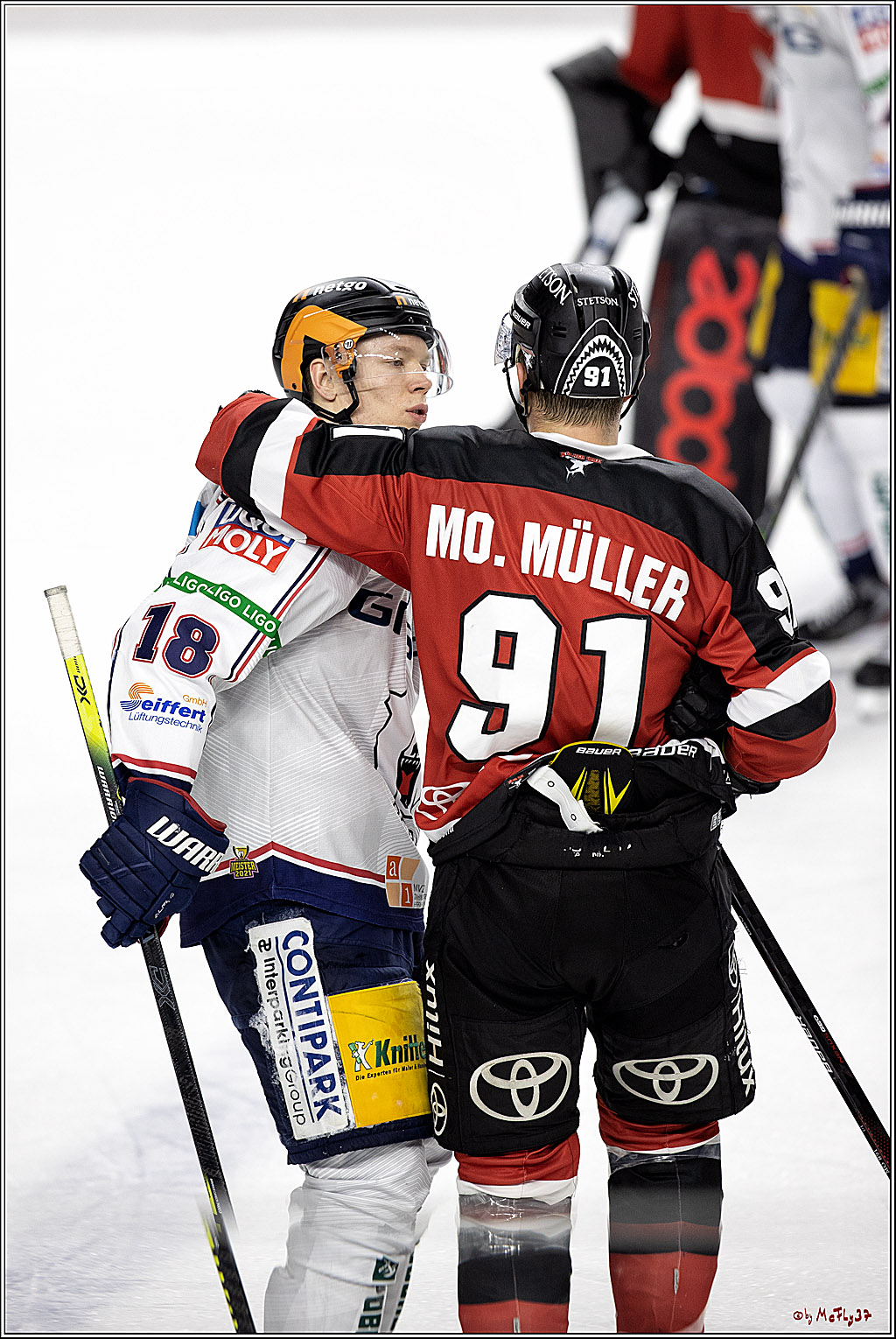 PENNY DEL;  Koelner Haie - Eisbaeren Berlin; Koeln, 28.12.2021